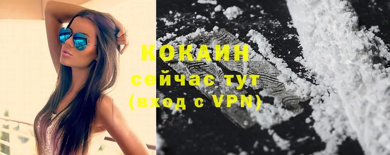 цена   Невельск  Cocaine VHQ 